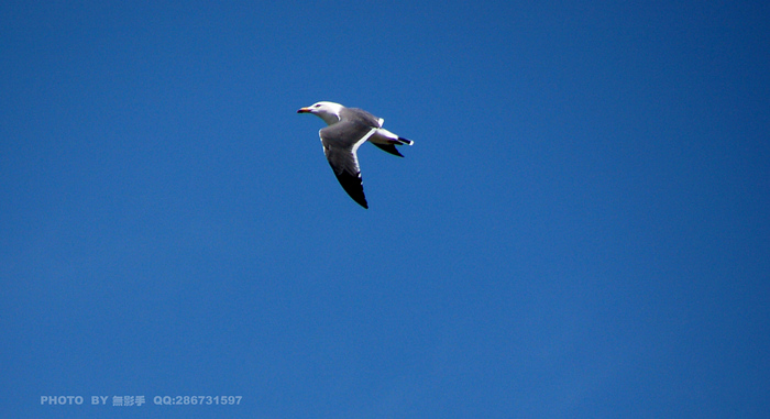 DSC_0472.jpg