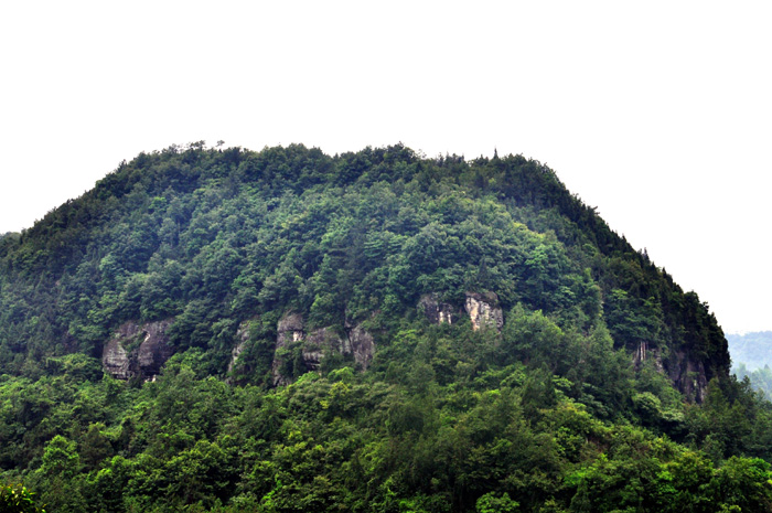 DSC_0114.jpg