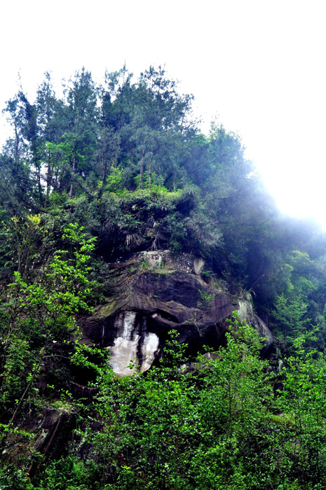 DSC_0032.jpg
