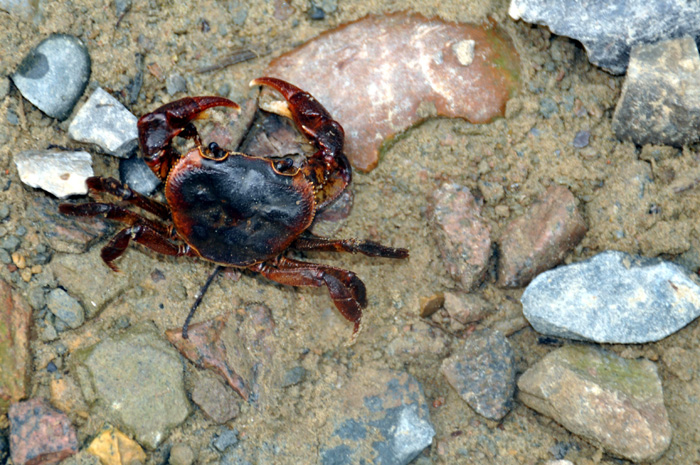 DSC_0044.jpg