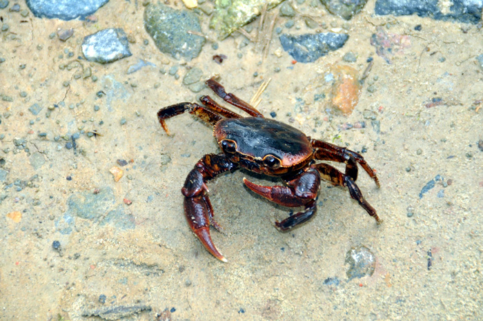 DSC_0046.jpg