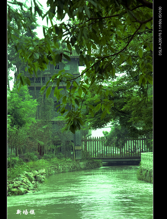 DSC03631.jpg