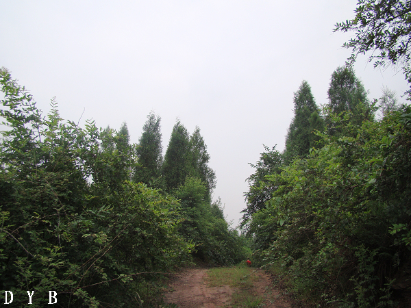 DSC07400.jpg