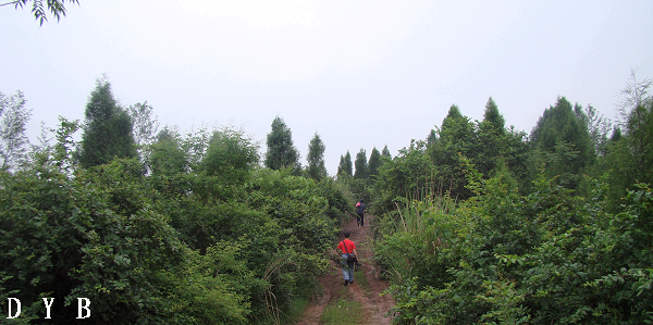 DSC07397.jpg