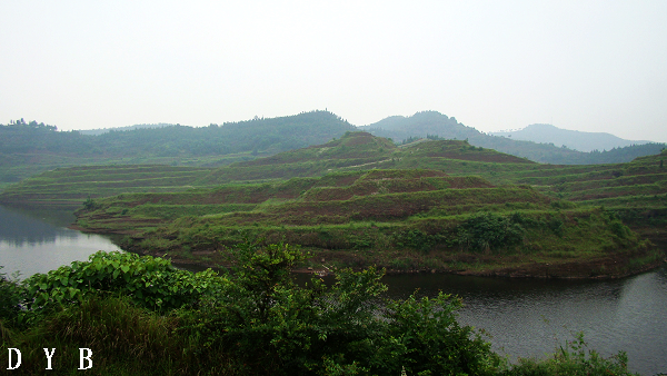 DSC07417.jpg