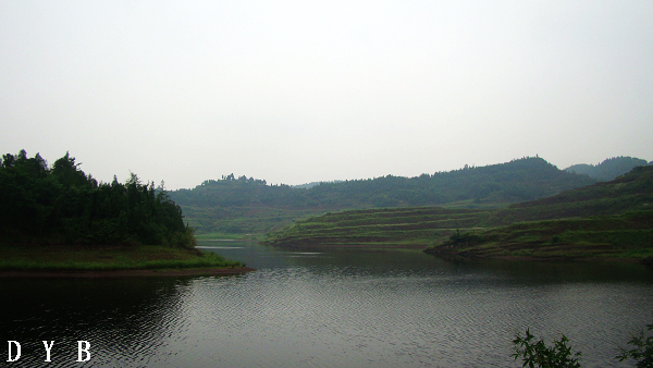 DSC07421.jpg