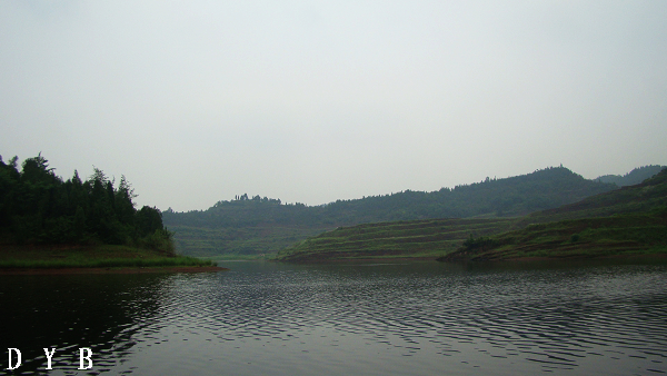 DSC07423.jpg