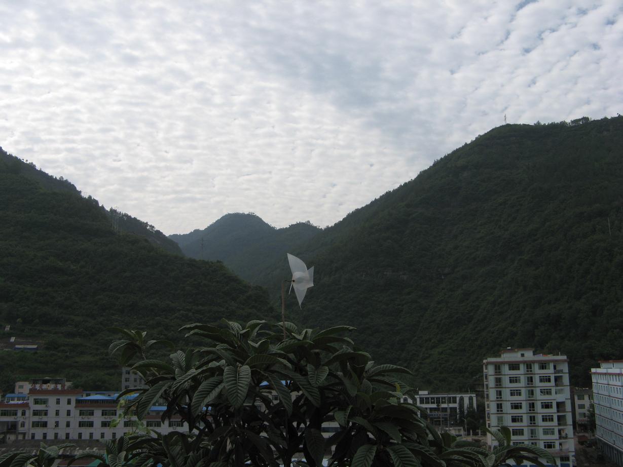 糵.JPG