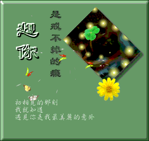 2.gif