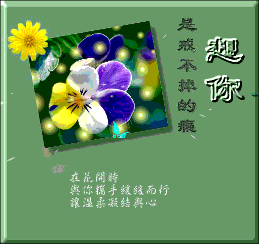 5.gif