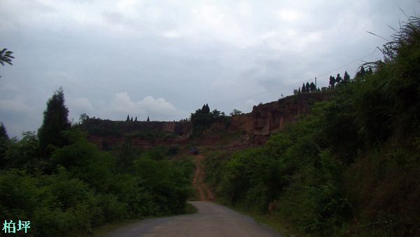 DSC07547.jpg