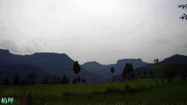 DSC07587.jpg