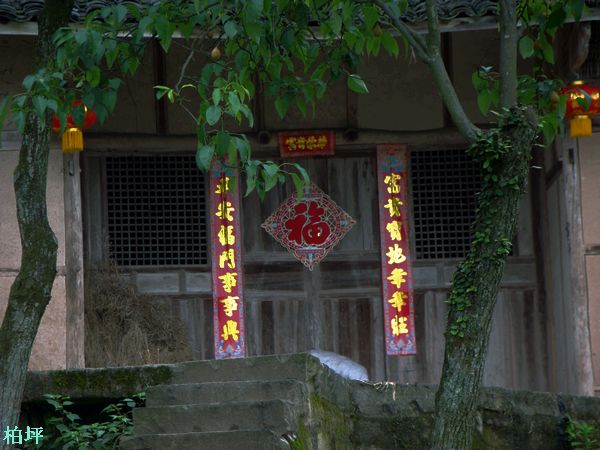 DSC07607.jpg