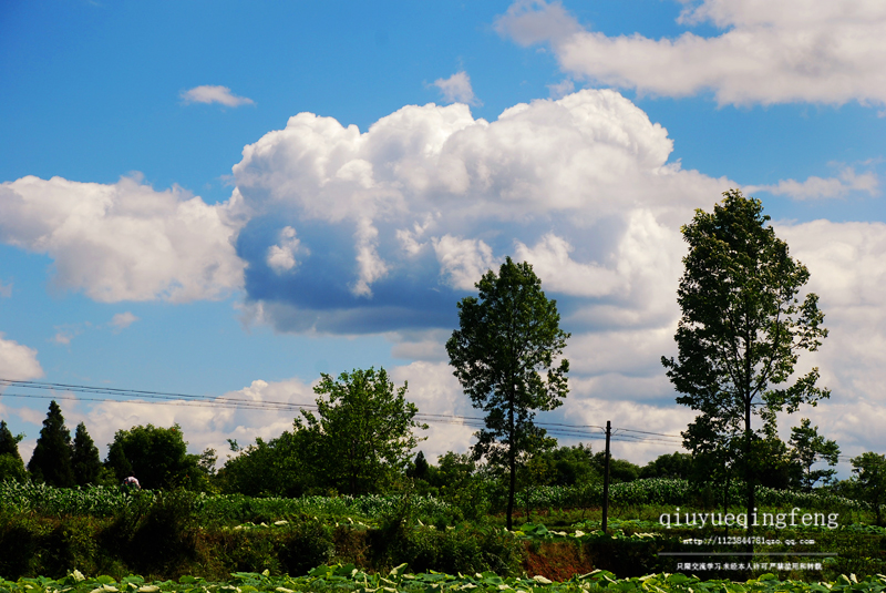 DSC_0070.jpg