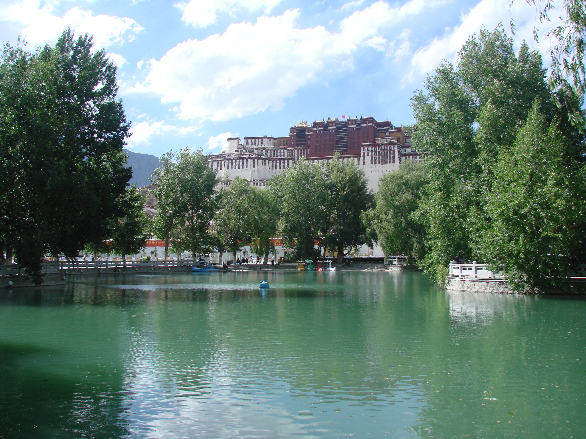 DSC01971.JPG