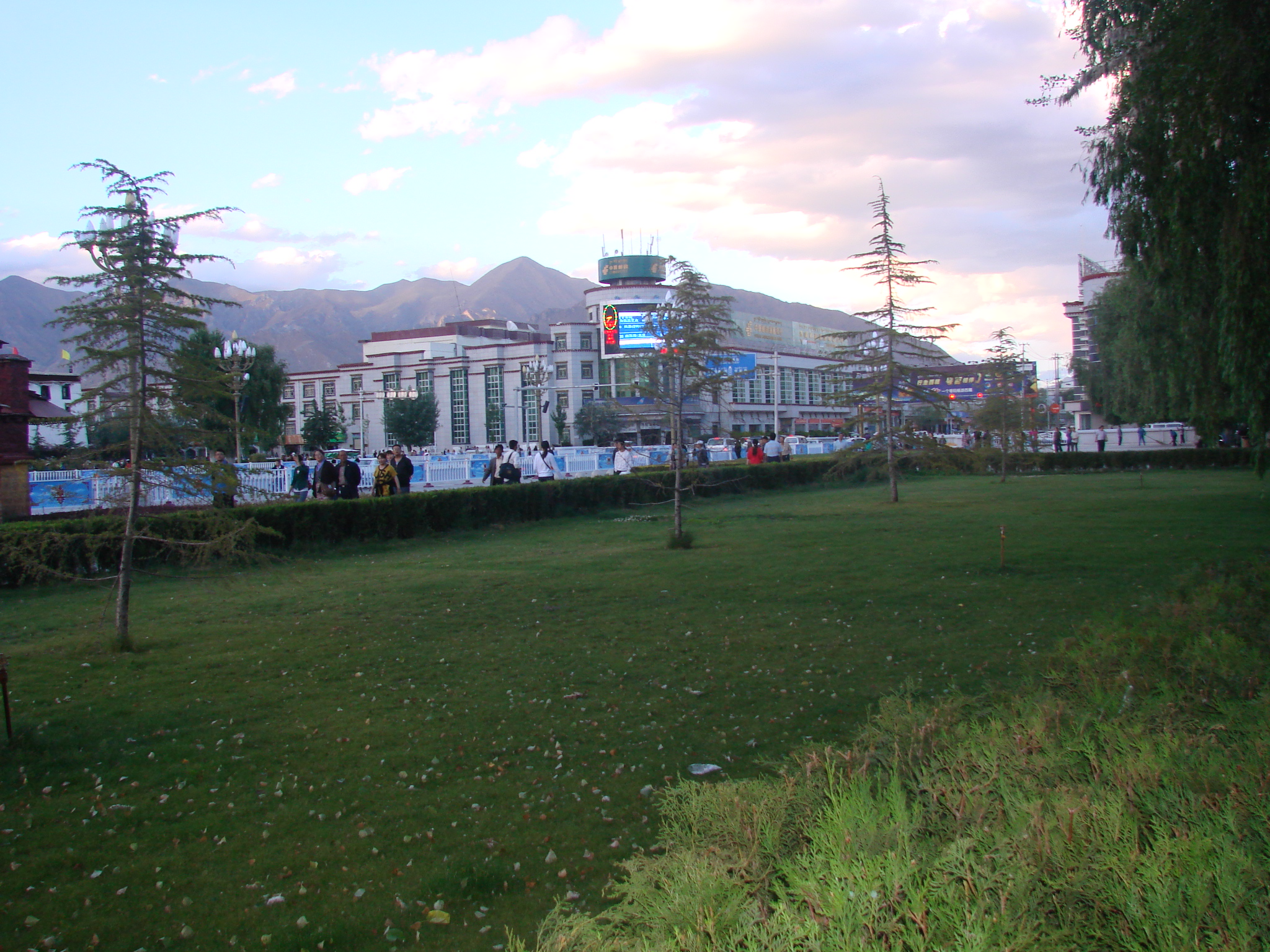 DSC02008.JPG