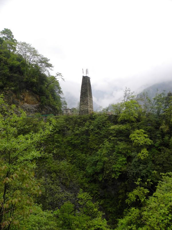 DSCN2237.jpg