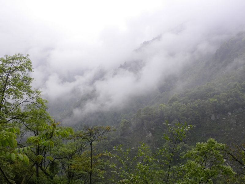 DSCN2251.jpg