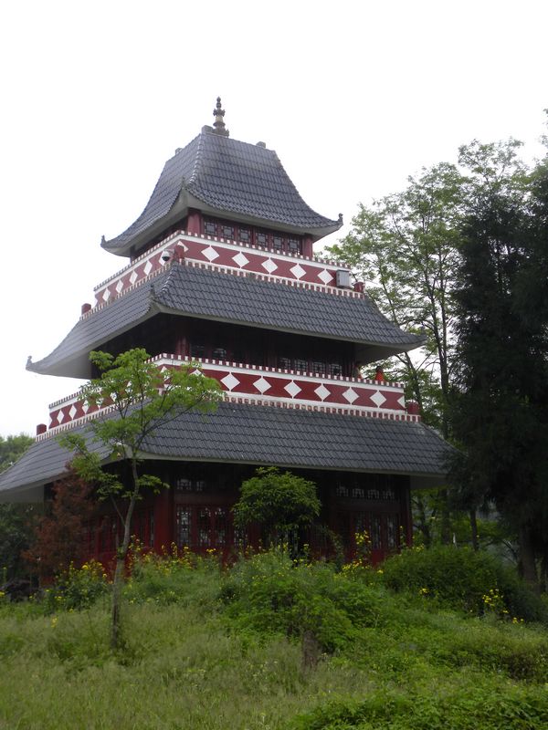 DSCN2230.jpg