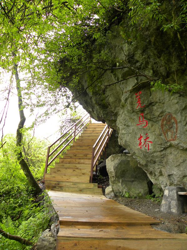 DSCN2259.jpg