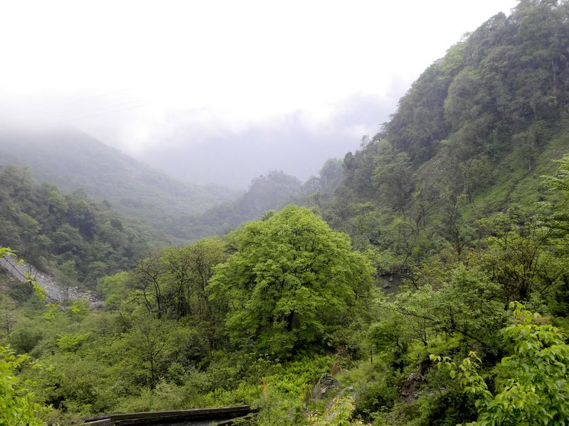 DSCN2261.jpg