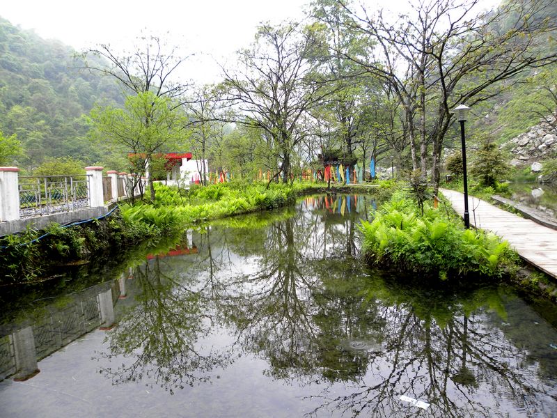 DSCN2271.jpg