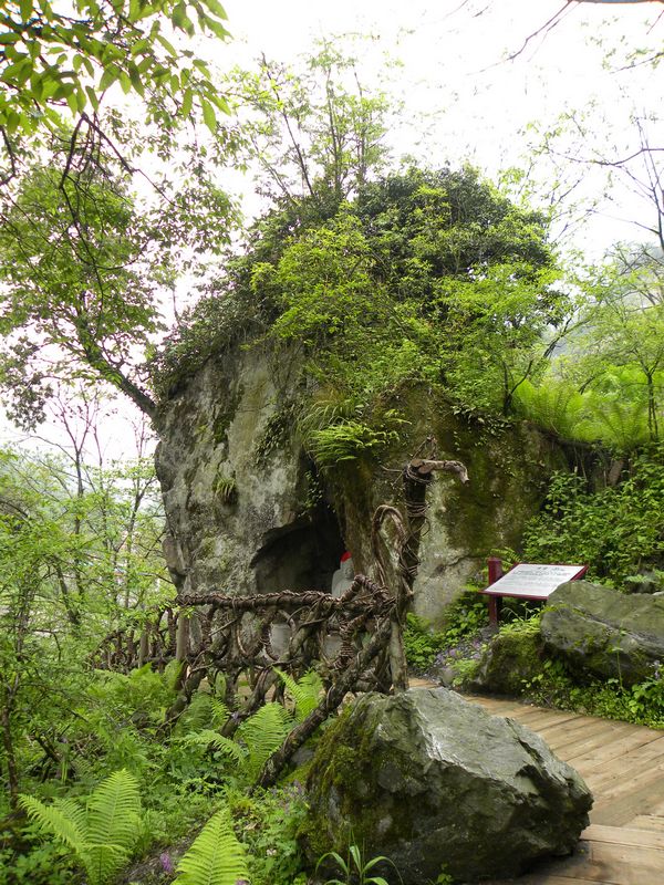 DSCN2265.jpg