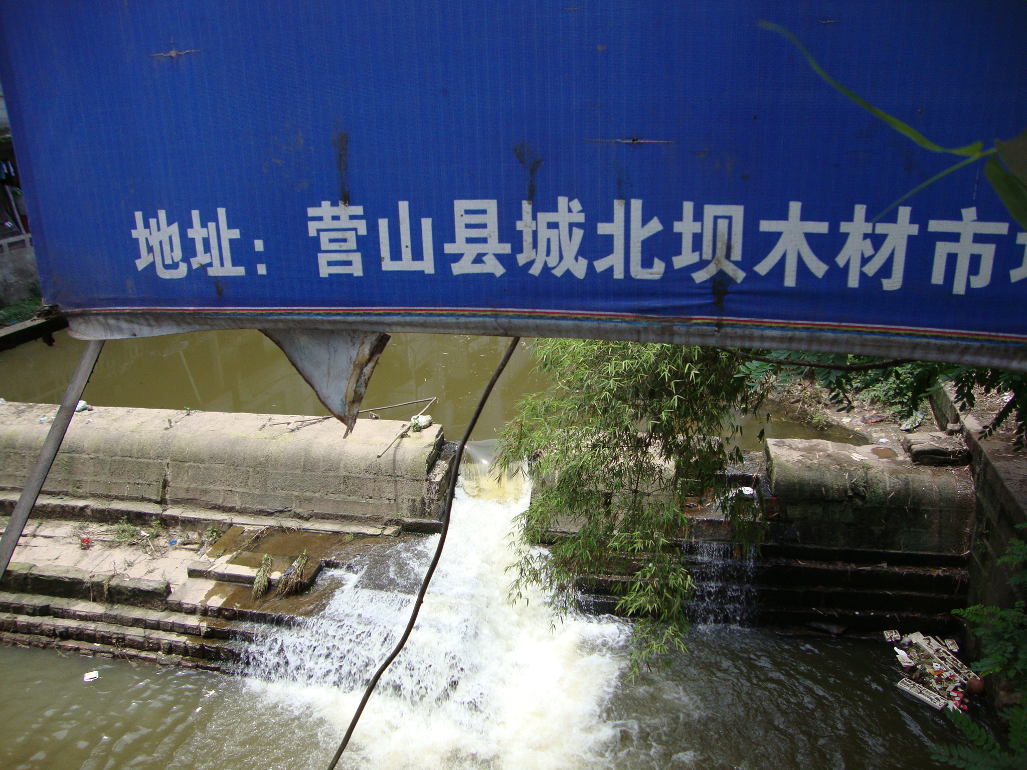 DSC01120.JPG