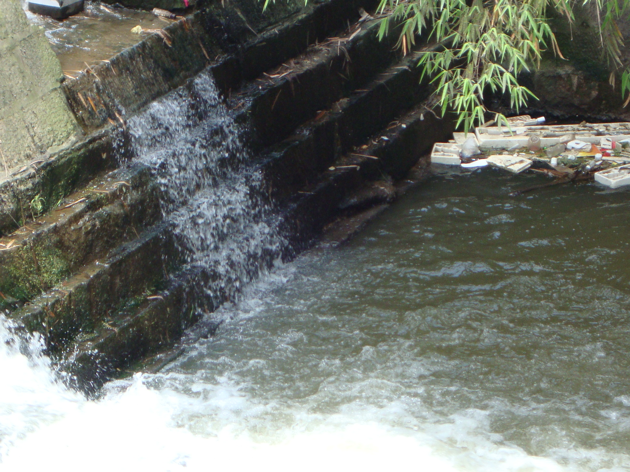 DSC01115.JPG
