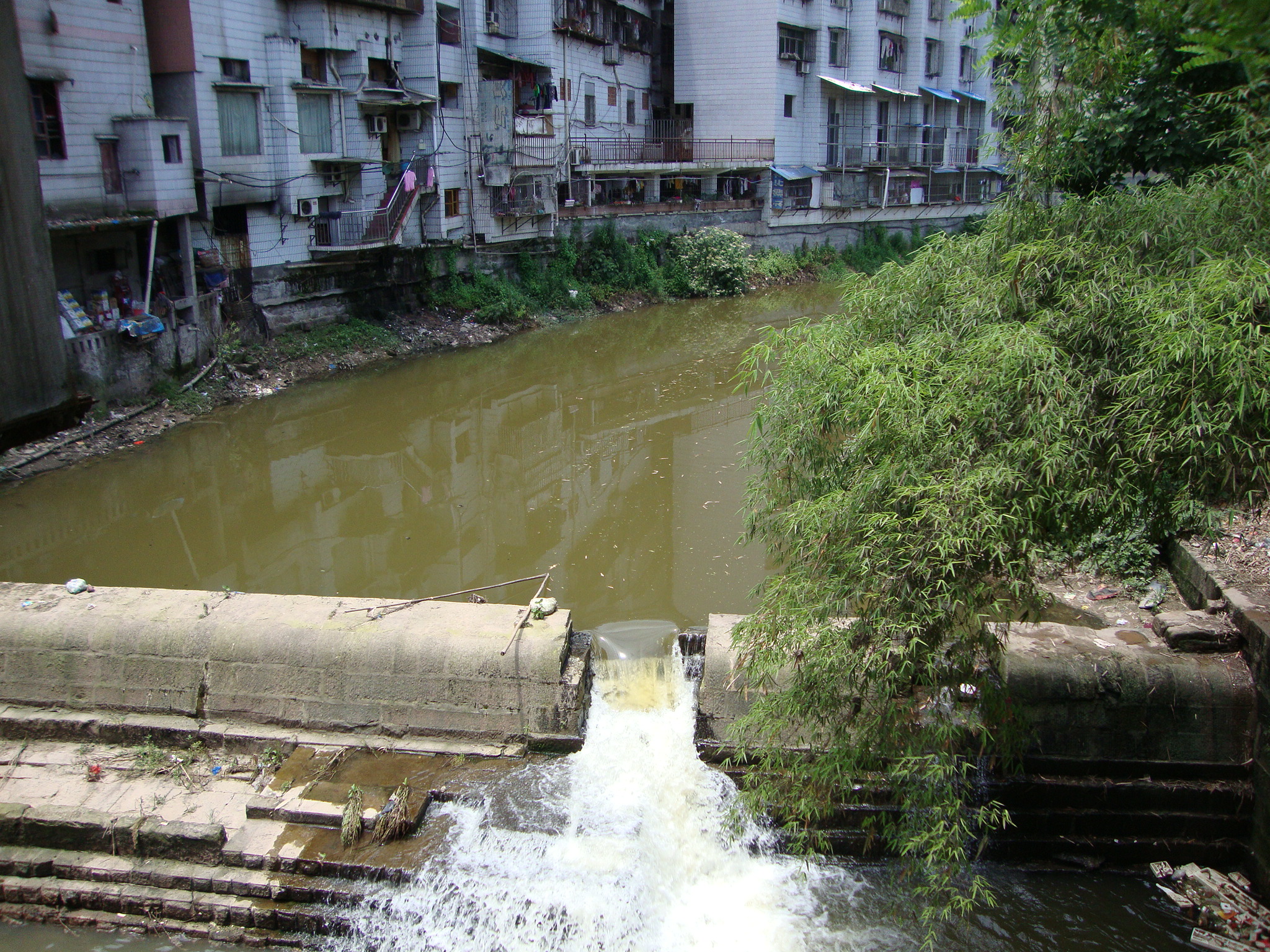 DSC01119.JPG