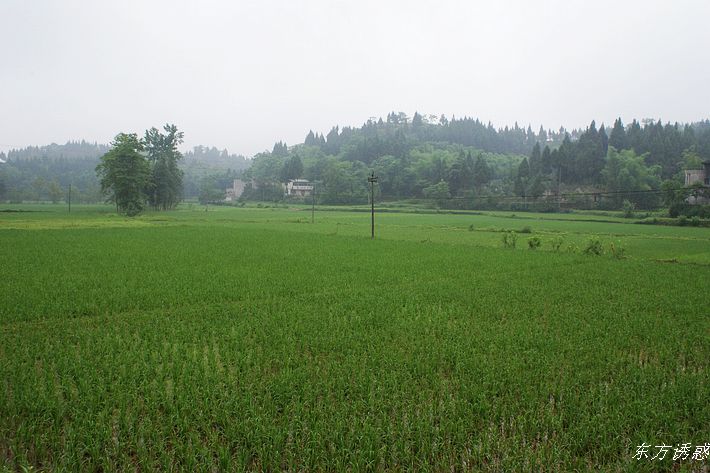 DSC01092.jpg