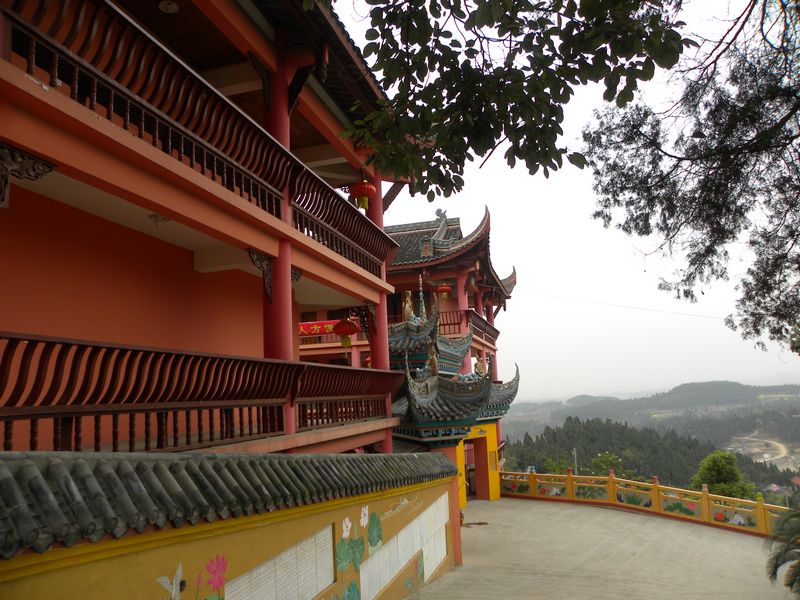 DSCN0849.jpg