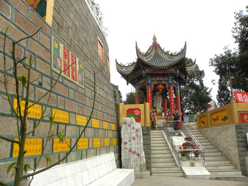 DSCN0850.jpg