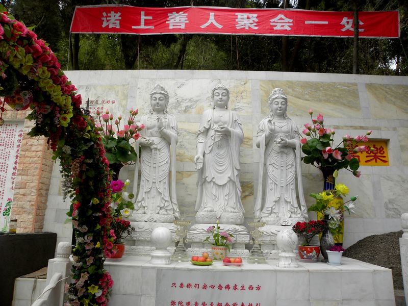 DSCN0857.jpg