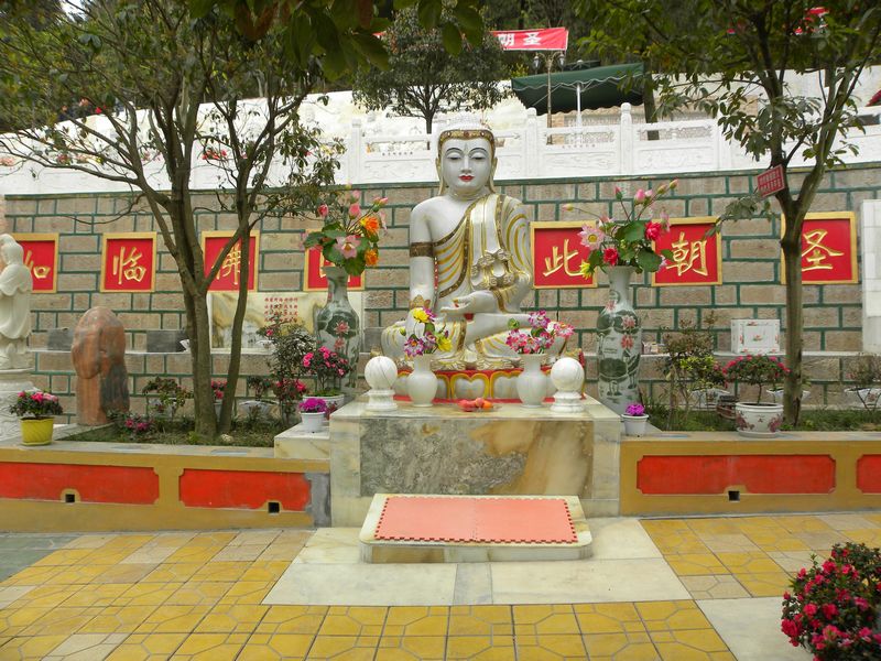 DSCN0856.jpg