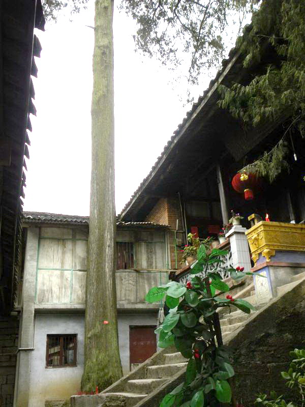 DSCN0915.jpg