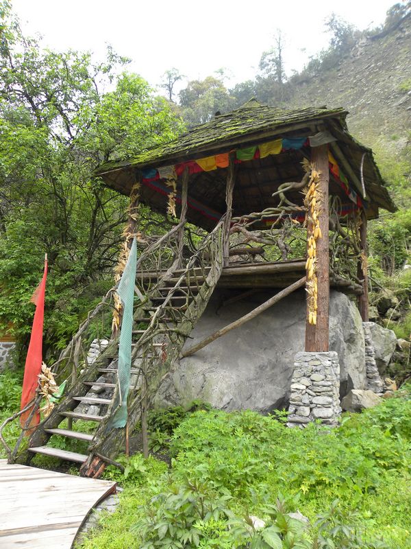 DSCN2287.jpg