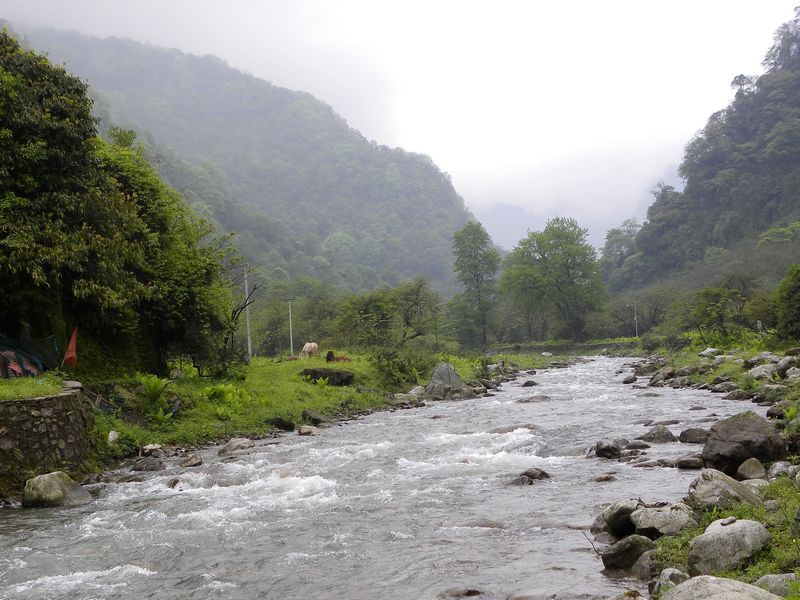 DSCN2298.jpg