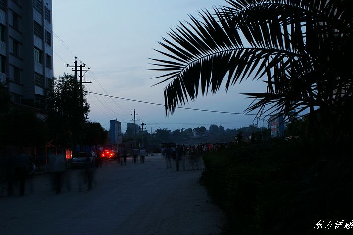 DSC01217.JPG