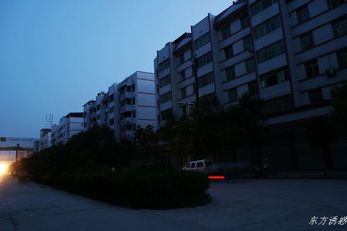 DSC01220.JPG