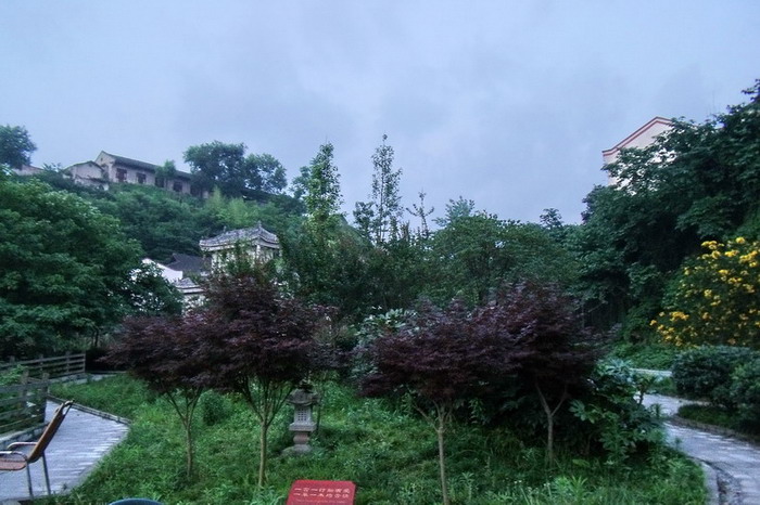 DSCF0793_СС.jpg