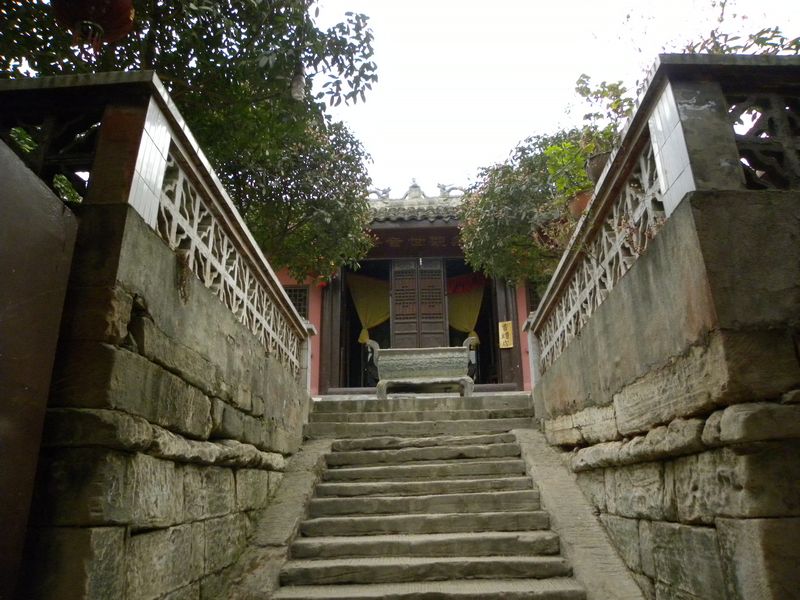 DSCN0907.jpg