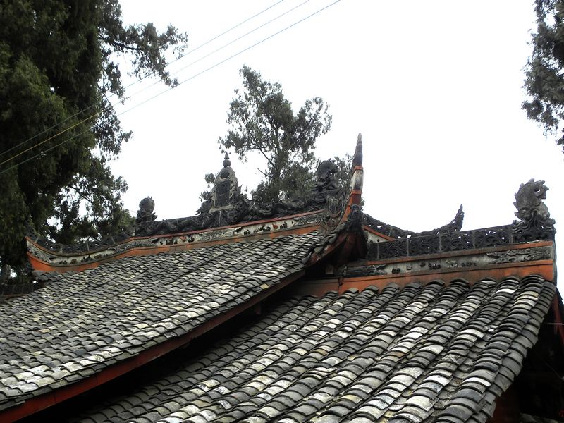DSCN0908.jpg