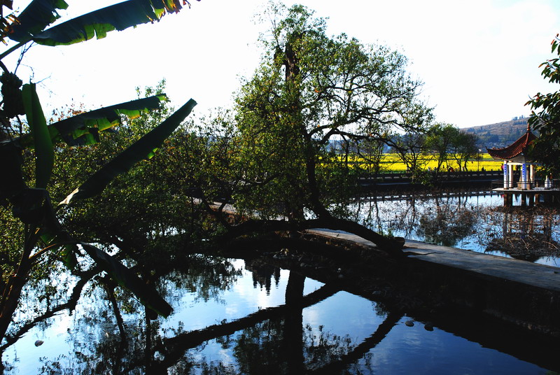 2010 099.jpg