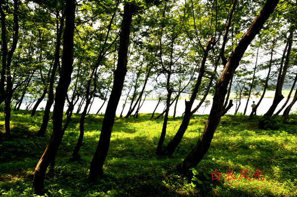 DSC_0924 .jpg
