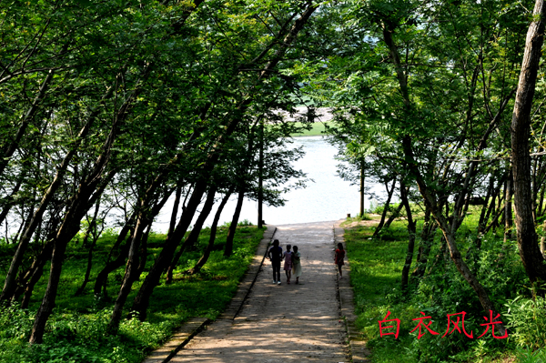 DSC_1040 .jpg