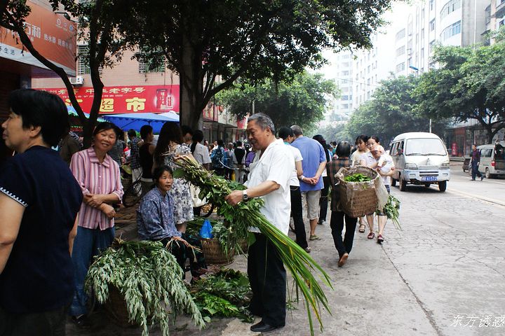 DSC01516.jpg