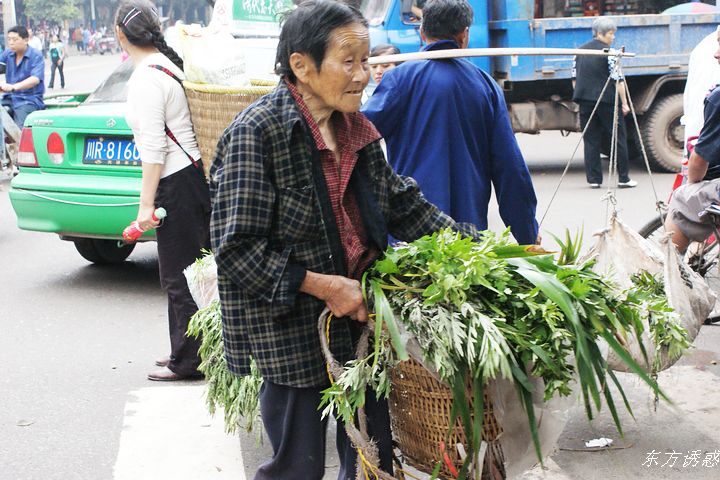 DSC01519.jpg