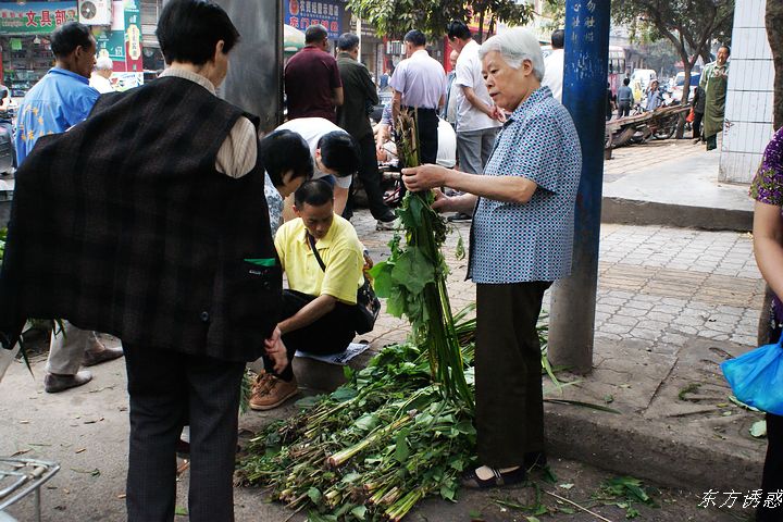 DSC01520.jpg