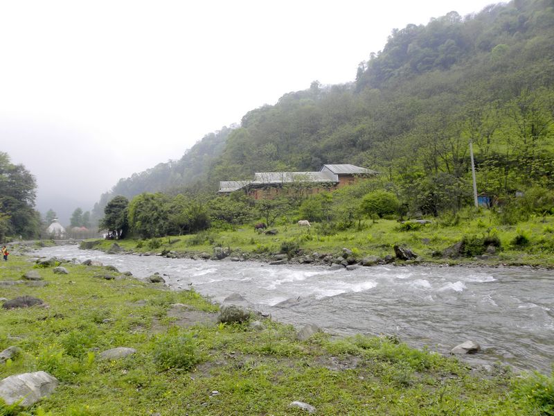 DSCN2310.jpg